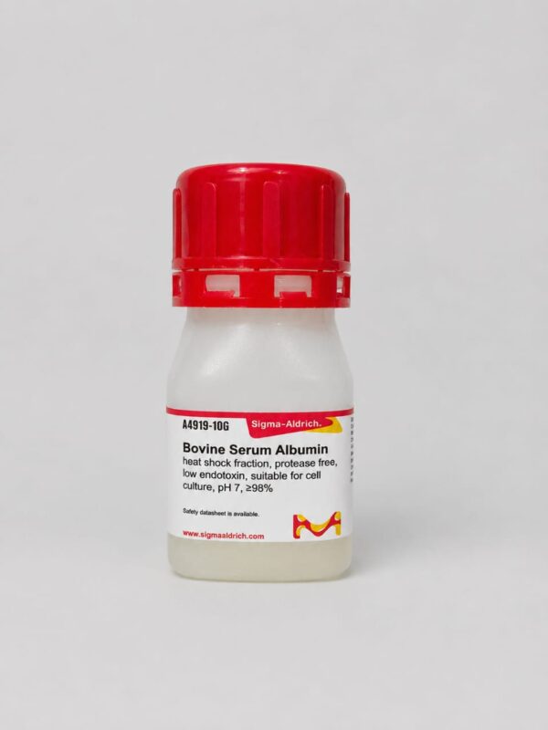 Bovine Serum Albumin